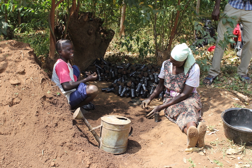 Prepration of potting bags for tree seedlings